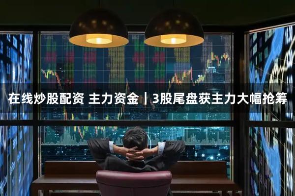 在线炒股配资 主力资金｜3股尾盘获主力大幅抢筹